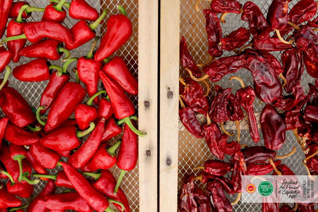 Freshly harvested and dried Piment d'Espelette

© Photothèque Piment d’Espelette AOP 